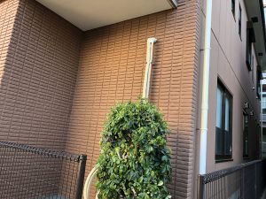 C8429568-2D14-4ECA-9075-8E47AEBF142D